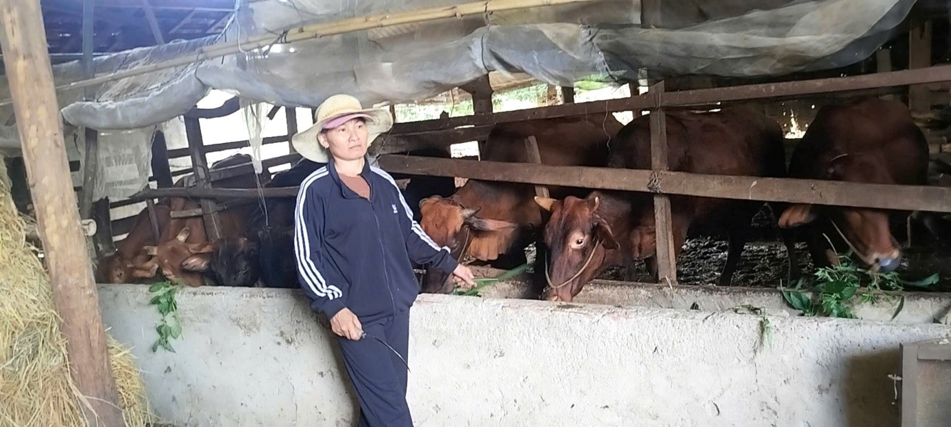 Gương phụ nữ điển hình trong phát triển kinh tế